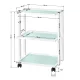 Giovanni 1041 Beauty Salon Trolley