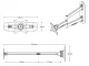 Monitor Wall Mount ARCTIC W1C Up to 49 Inches