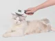 Self-Cleaning Pet Grooming Brush for Dogs and Cats