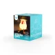 Forever Light FNL-11 Duck on Vacation LED Night Light