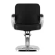 Hair System ZA31 Hairdressing Chair, Black