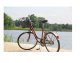 Metal Basket for Bicycle 23557