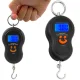 Digital Hanging Scale for Fishing & Luggage 50kg