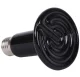 Infrared Heating Bulb for Terrarium 100W, Black