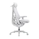 LiberNovo OC1-PRO Ergonomic Gaming Chair (48 cm, White)