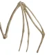Malatec 00022005 Bat Skeleton - Halloween Decoration, 30 cm, Beige