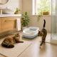 Open Cat Litter Box with Frame and Scoop, 45x34x12 cm, Blue