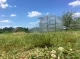 Greenhouse Baltic Lt 3X12M With 6Mm Polycarbonate; 4779037491476