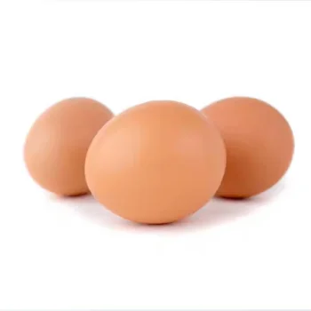 Dummy Eggs for Chickens, Brown, 25 Pcs