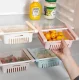Refrigerator Organizer Drawer