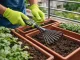 DIVODV Hand Rake for Garden, 38cm, Black/Green