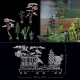 LEGO Icons 10315 Tranquil Garden