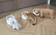 Petoneer NutriCare Smart RFID Pet Feeder with Cooling Bowl PF009