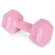 ModernHome Hex Dumbbell Set 2×1 kg Fitness Weights, pink