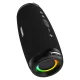 Dudao Y21Pro Wireless Speaker with RGB Backlight, Bluetooth 5.3, Black