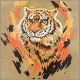 Nimmy Tiger MagSafe Case for iPhone 17 Pro Light Brown