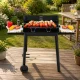 Large Portable Charcoal BBQ Grill with Adjustable Grate and Shelves