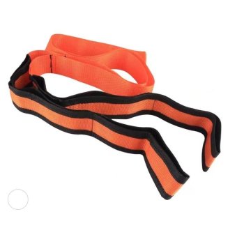 Telcon Moving and Transport Straps, 2 pcs