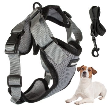 Pressure-Free Dog Harness with Leash, Size L