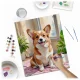 Massido Paint by Numbers Kit 40x50 cm, Corgi Dog