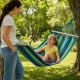 Garden Hammock with Wooden Frame and Mounting Ropes, 200 x 80 cm, Striped