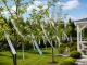 Reflective Bird Repellent Tape 50mm x 50m, Silver