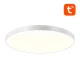 Gosund LB11 Smart Ceiling Lamp 32cm WiFi/Bluetooth RGBCW 1920lm with Remote