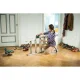 Bosch PSM Primo Corded Multi-Sander, 50 W