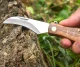 Folding Pocket Knife with a Brush for Mushroom Hunting Foraging (Mushrooming)