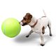 Giant XXL Tennis Ball Dog Toy 24cm