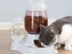 Automatic Pet Food and Water Dispenser Bowl 2-in-1 for Dogs and Cats