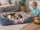 Soft Dog Bed for Medium Dogs, Plush Comfortable Pet Sofa Lounger, Grey