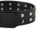 Adjustable eco-leather dog collar with studs L