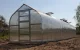 Greenhouse KLASIKA STANDART 30, 2.5x12 m, with Foundation and 6 mm Polycarbonate