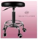 Adjustable Hairdresser Beauty Master Chair Beauty Salon and Spa Stool, Black