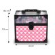 Kids Makeup and Nail Art Set in a Carry Case for Girls