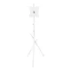 Maclean MC-181 W TV Floor Stand (27-55\", 60kg, VESA 200x200)