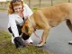 Dog Waste Bags, 50 Rolls with Dispenser, Black
