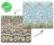 Nukido NK-340 Double-sided Foldable XPE Foam Play Mat Pad Rug for Kids, Ocean-Land, 200x180cm