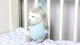 Bakalu Hedgehog Plush Toy with Pull-String Music Box
