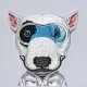 Nimmy Cool&Cute 2.0 nag Case for iPhone 17 Pro Max, Gray