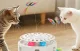 Interactive 3-in-1 Cat Toy Rojeco RWJTY823-02 Dual Power