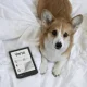 PocketBook Verse eBook Reader, Mist Grey