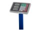 Electronic Warehouse and Shop Scale 100kg with LCD, Blue