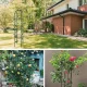 Column Pergola for Garden and Home