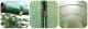 Garden Greenhouse Tunnel 2x3m 6m2 Plonos