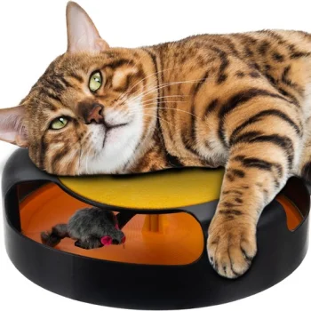 Purlov Cat Toy - Circle with Mouse and Scratching Pad
