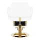 Gabbiano Linz NQ Hairdressing Chair White / Gold