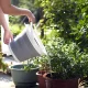 Large Foldable Silicone Bucket with Handle 5L Grey-White