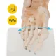 4FIZJO 1:1 Life-Size Ankle Joint Anatomical Model with Ligaments